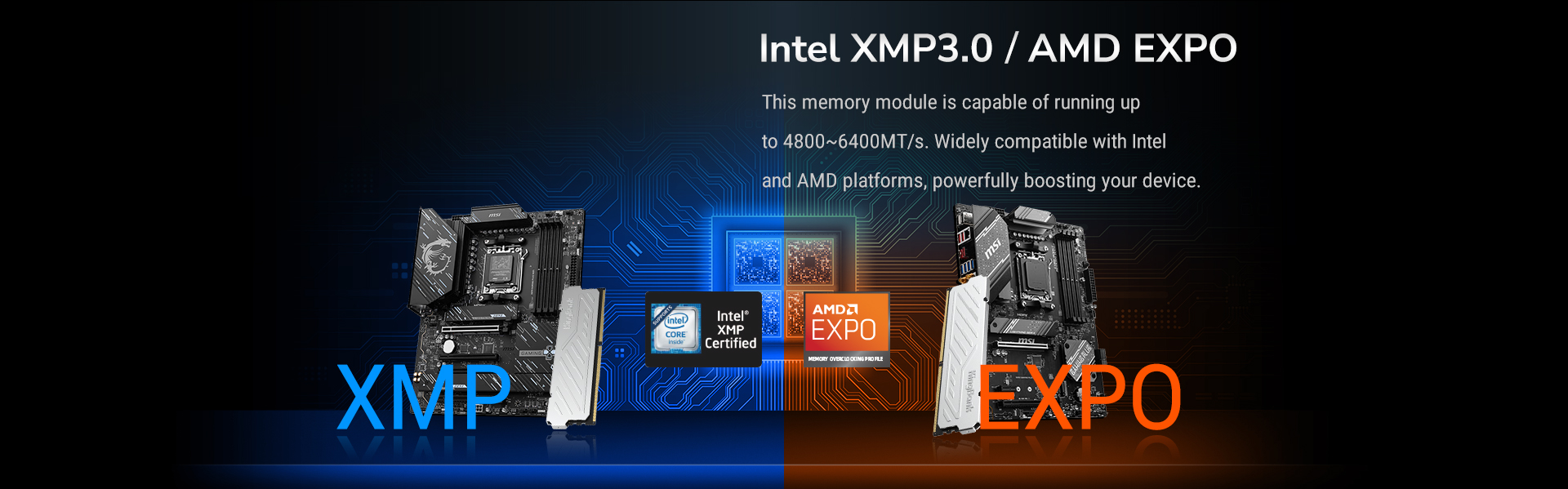 kingbank-silver-night-ddr5-memory3.jpg